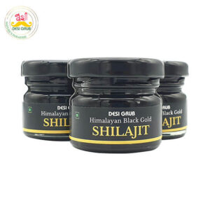 Desi Grub Shilajit / Shilajeet | Himalayan Black Gold Shilajit Resin 30 Gms |Endurance, Stamina, Immunity Booster