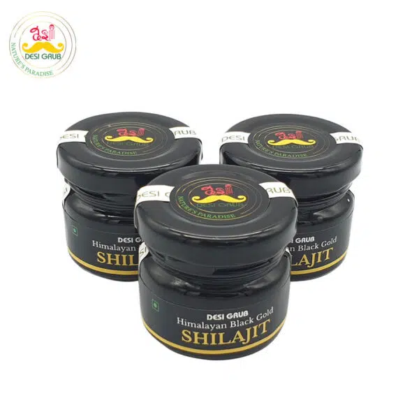 Himalayan Black Gold Shilajit 30 Gms | Endurance, Stamina, Immunity Vitality Booster