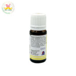 Desi Grub Lemongrass Essential Oil 10ml| 100% Pure | Natural Air Freshener, Insect Repellent & Skin Detox Oil