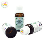 Desi Grub CleanAir Elixir 30ml – Essential Oil Blend for Air Purification, Breathing, Focus & Meditation