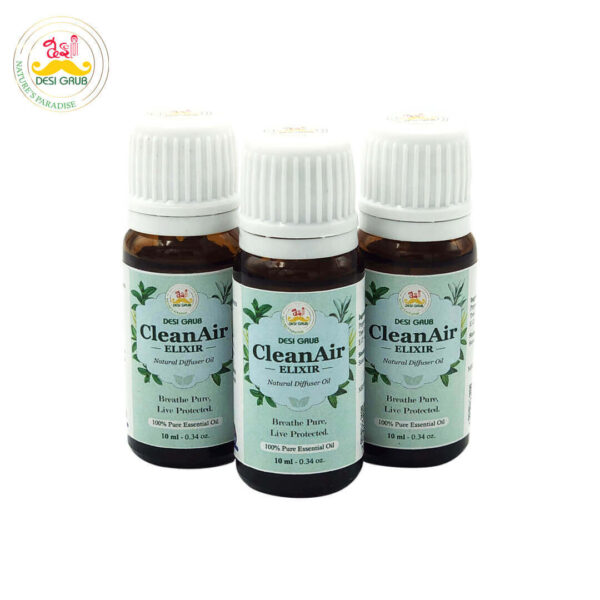 Desi Grub CleanAir Elixir 10ml – Essential Oil Blend for Air Purification, Breathing, Focus & Meditation