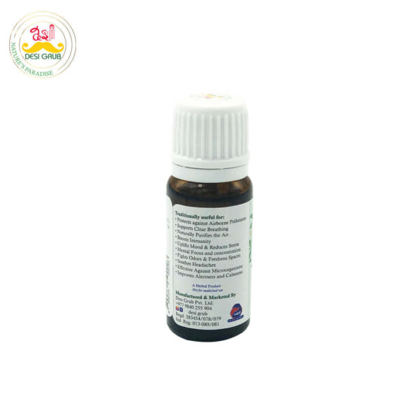 Desi Grub CleanAir Elixir 10ml – Essential Oil Blend for Air Purification, Breathing, Focus & Meditation