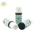 Desi Grub CleanAir Elixir 10ml – Essential Oil Blend for Air Purification, Breathing, Focus & Meditation