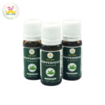 Desi Grub Peppermint Essential Oil 10ml – Invigorating Purity in Every Drop