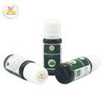 Desi Grub Peppermint Essential Oil 10ml – Invigorating Purity in Every Drop