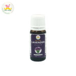 Desi Grub Lavender Essential Oil 10ml | Pure & Natural Relaxation Oil
