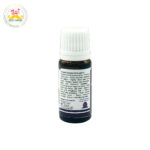 Desi Grub Lavender Essential Oil 10ml | Pure & Natural Relaxation Oil