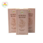 Desi Grub Aurora Bloom Perfume Roll on 10ml – Rose, Lavender, Grapefruit