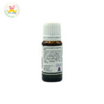 Desi Grub Eucalyptus Essential Oil 10ml | Natural Freshness, Muscle Comfort & Wellbeing