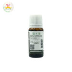 Desi Grub Eucalyptus Essential Oil 10ml | Natural Freshness, Muscle Comfort & Wellbeing