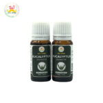 Desi Grub Eucalyptus Essential Oil 10ml | Natural Freshness, Muscle Comfort & Wellbeing