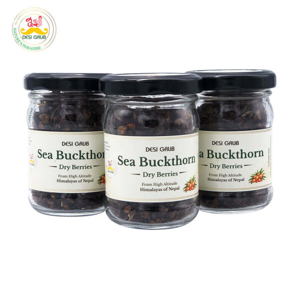 Desi Grub Sea Buckthorn Dried Berries 30g – Himalayan Superfood | Vitamin C & Omega 3, 6, 7, 9 | Boosts Immunity, Skin Glow & Heart Health
